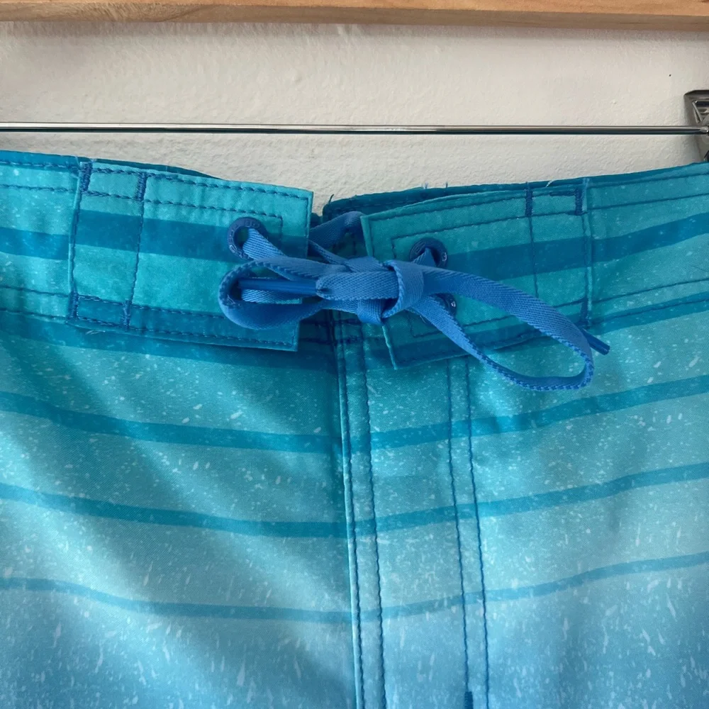 Speedo‎ Eco Comfort Stretch Bondi Boardshorts Palace Blue Striped Swim Trunks